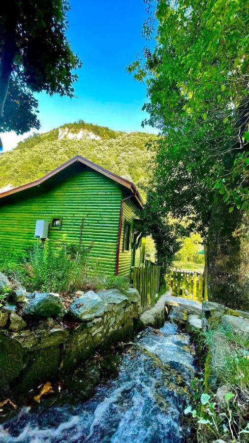 Villa Doga Su Minimal Evler Sapanca Exterior foto